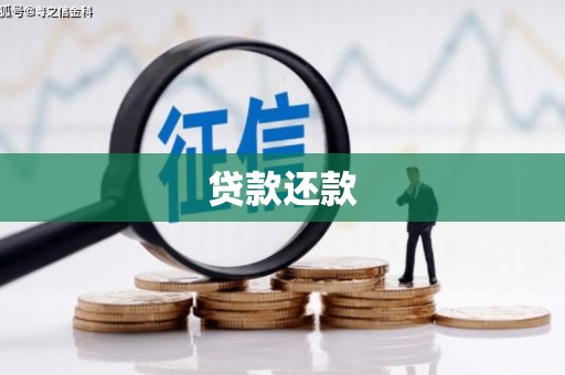舟山新区贷款还款