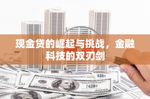 舟山新区现金贷的崛起与挑战，金融科技的双刃剑