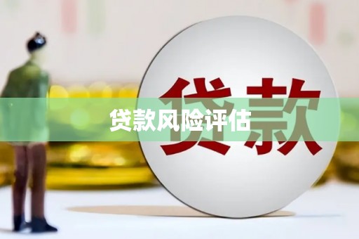 舟山新区贷款风险评估