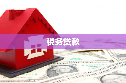 舟山新区税务贷款