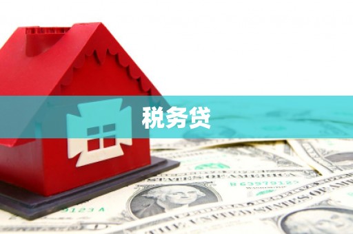 舟山新区税务贷