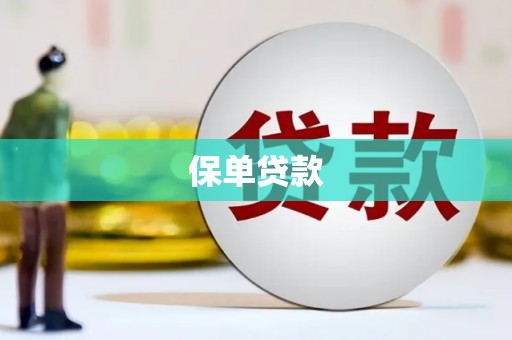 舟山新区保单贷款