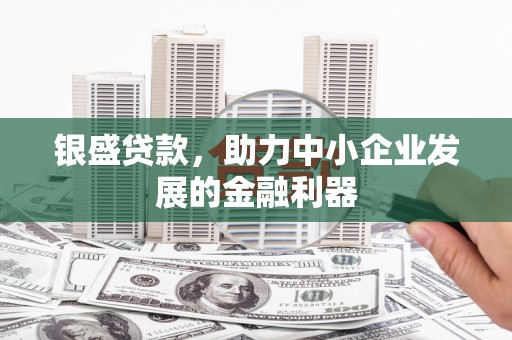 舟山新区银盛贷款，助力中小企业发展的金融利器