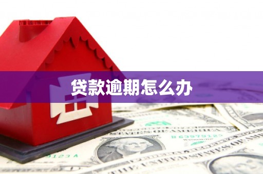 舟山新区贷款逾期怎么办