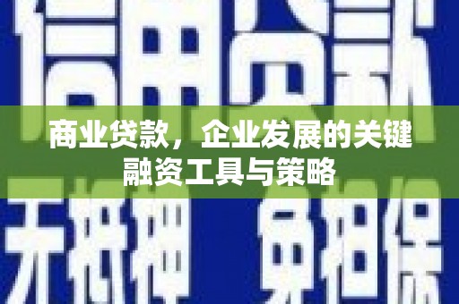 舟山新区商业贷款，企业发展的关键融资工具与策略