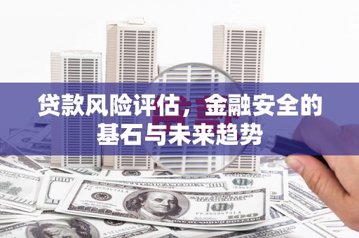 舟山新区贷款风险评估，金融安全的基石与未来趋势