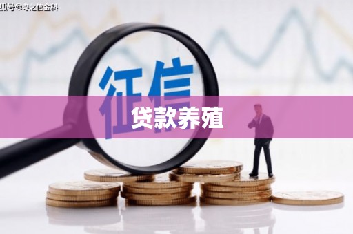 舟山新区贷款养殖