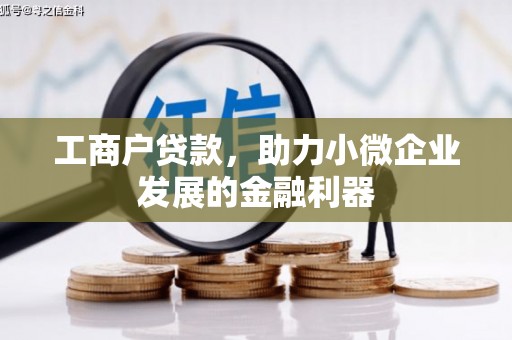 舟山新区工商户贷款，助力小微企业发展的金融利器