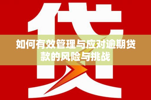 舟山新区如何有效管理与应对逾期贷款的风险与挑战