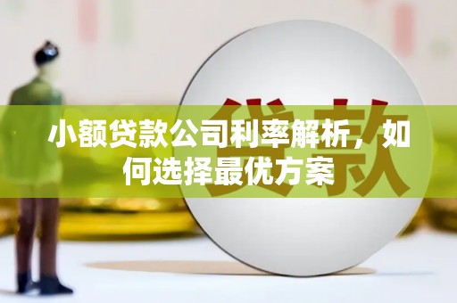 舟山新区小额贷款公司利率解析，如何选择最优方案