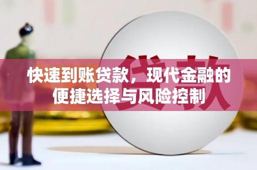 舟山新区快速到账贷款，现代金融的便捷选择与风险控制