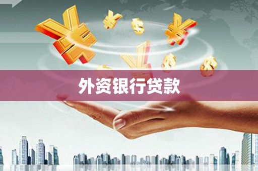 舟山新区外资银行贷款