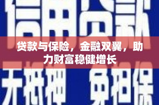 舟山新区贷款与保险，金融双翼，助力财富稳健增长