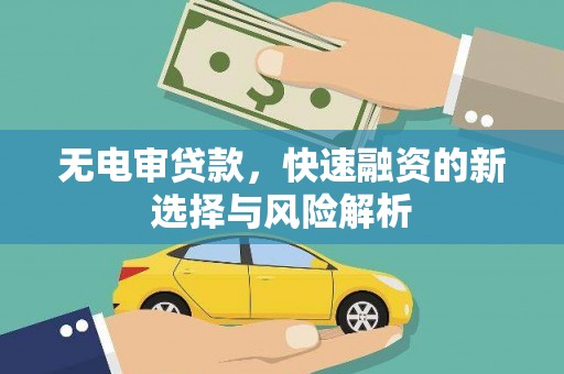 舟山新区无电审贷款，快速融资的新选择与风险解析