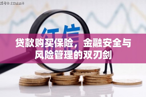 舟山新区贷款购买保险，金融安全与风险管理的双刃剑