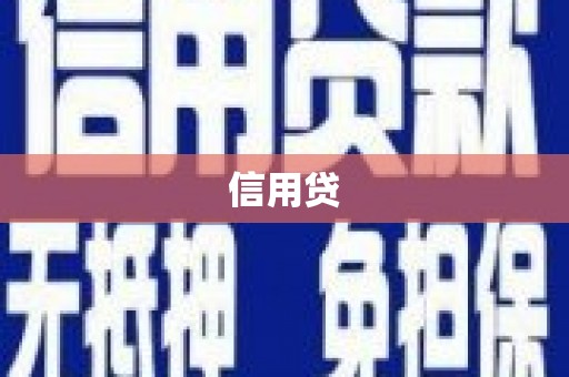 舟山新区信用贷