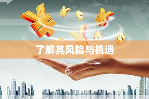 舟山新区了解其风险与机遇