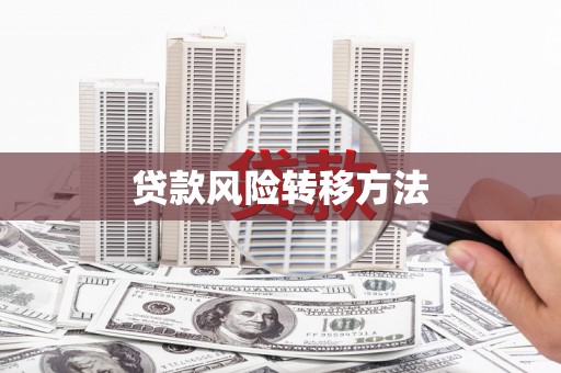 舟山新区贷款风险转移方法