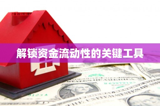 舟山新区解锁资金流动性的关键工具