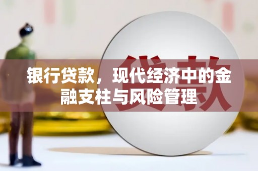 舟山新区银行贷款，现代经济中的金融支柱与风险管理