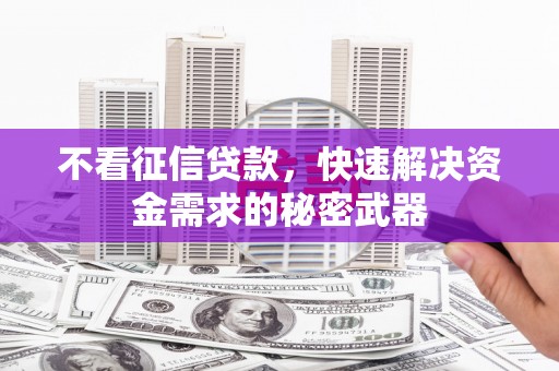 舟山新区不看征信贷款，快速解决资金需求的秘密武器