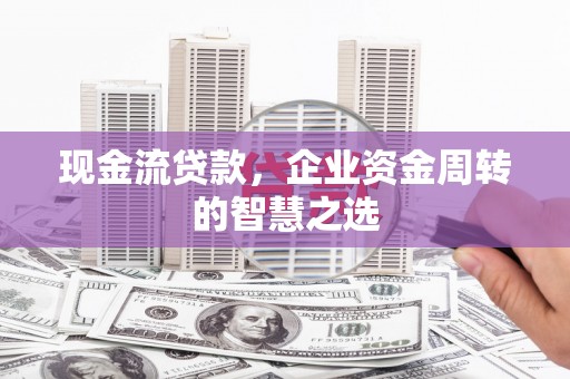 舟山新区现金流贷款，企业资金周转的智慧之选