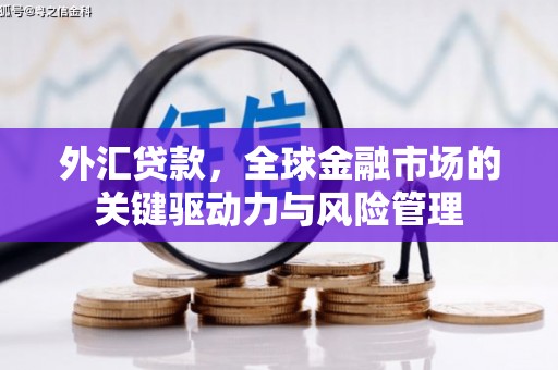 舟山新区外汇贷款，全球金融市场的关键驱动力与风险管理