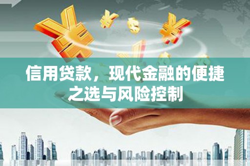 舟山新区信用贷款，现代金融的便捷之选与风险控制