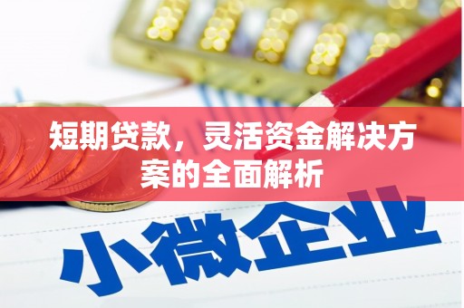 舟山新区短期贷款，灵活资金解决方案的全面解析