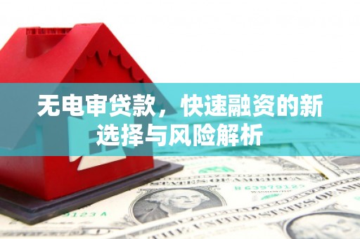 舟山新区无电审贷款，快速融资的新选择与风险解析