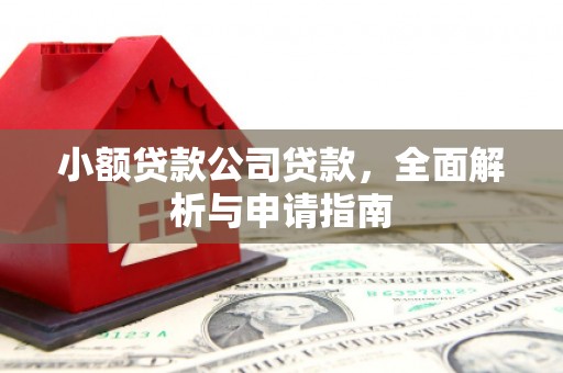 舟山新区小额贷款公司贷款，全面解析与申请指南