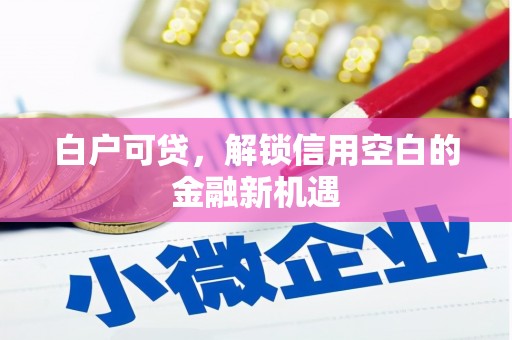 舟山新区白户可贷，解锁信用空白的金融新机遇