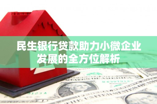 舟山新区民生银行贷款助力小微企业发展的全方位解析