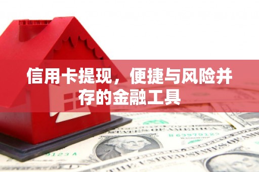 舟山新区信用卡提现，便捷与风险并存的金融工具