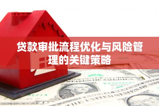 舟山新区贷款审批流程优化与风险管理的关键策略