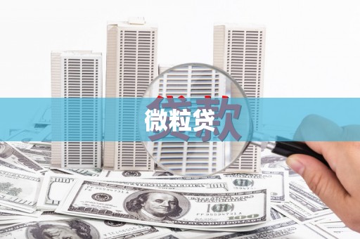 舟山新区微粒贷