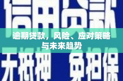 舟山新区逾期贷款，风险、应对策略与未来趋势