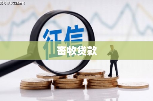舟山新区畜牧贷款