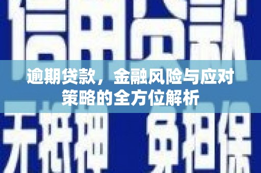 舟山新区逾期贷款，金融风险与应对策略的全方位解析