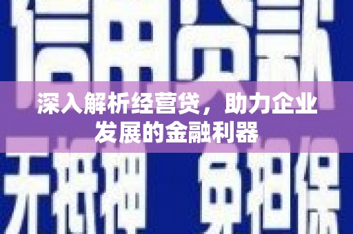 舟山新区深入解析经营贷，助力企业发展的金融利器