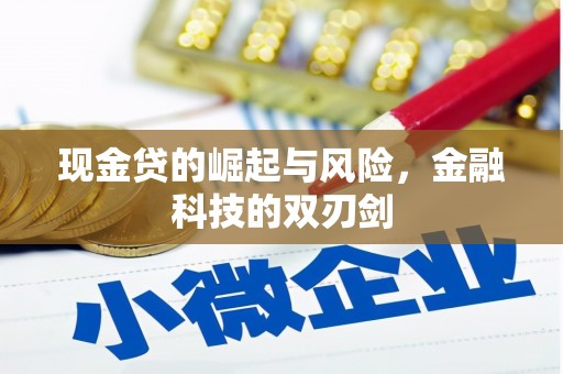 舟山新区现金贷的崛起与风险，金融科技的双刃剑