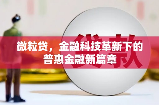 舟山新区微粒贷，金融科技革新下的普惠金融新篇章