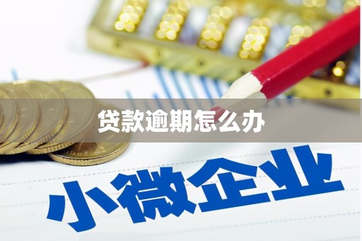 舟山新区贷款逾期怎么办