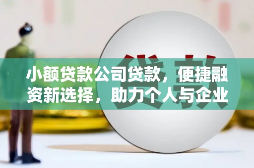 舟山新区小额贷款公司贷款，便捷融资新选择，助力个人与企业成长