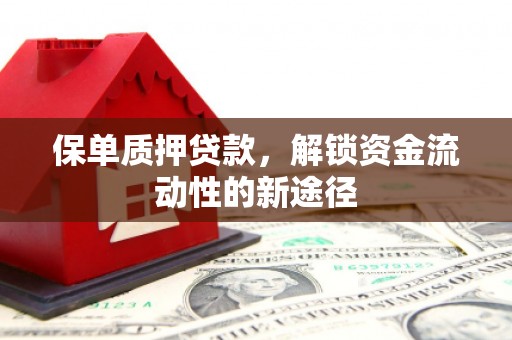 舟山新区保单质押贷款，解锁资金流动性的新途径