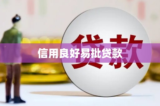 舟山新区信用良好易批贷款