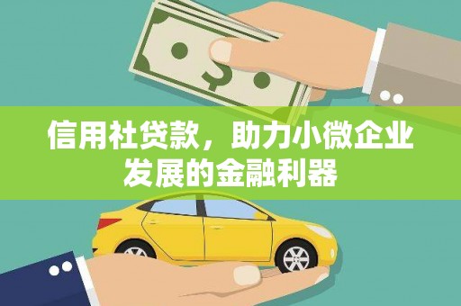 舟山新区信用社贷款，助力小微企业发展的金融利器