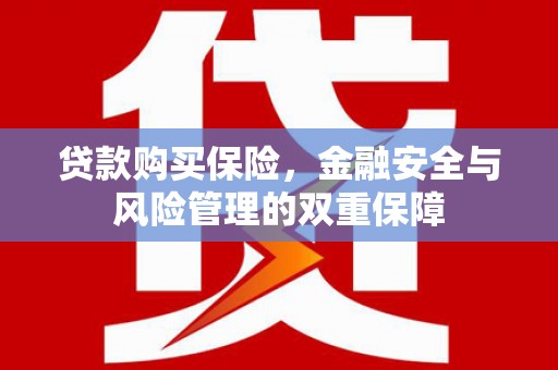 舟山新区贷款购买保险，金融安全与风险管理的双重保障