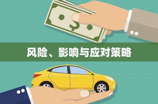 舟山新区风险、影响与应对策略