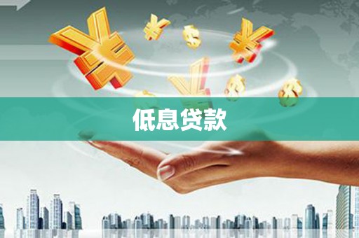舟山新区低息贷款